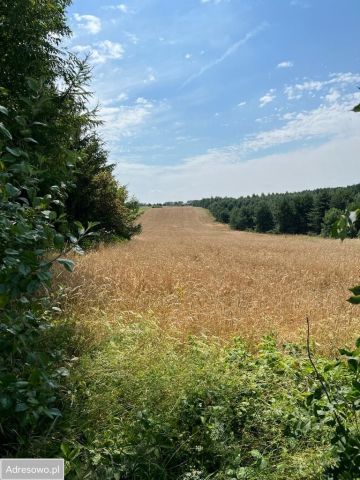 Działka rolno-budowlana Biskupice, ul. Chorońska. Zdjęcie 1