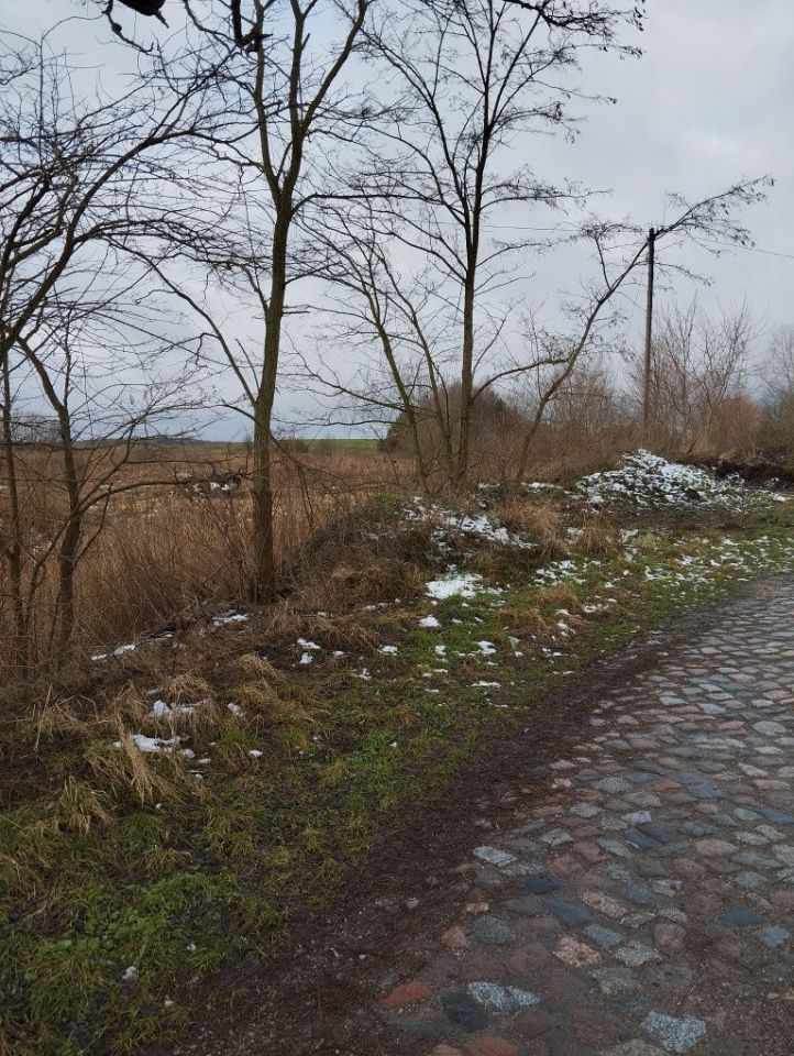 Działka rolno-budowlana Mostkowo. Zdjęcie 2