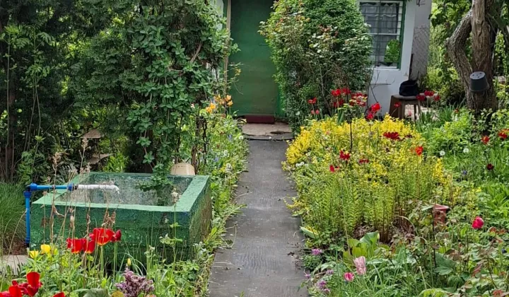 Działka rod Katowice Załęska Hałda, ul. Feliksa Bocheńskiego