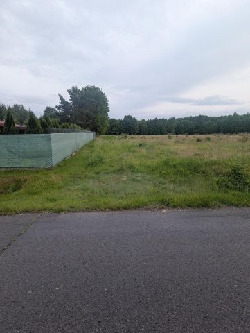 Działka rolno-budowlana Ciosny Ciosny-Parcela. Zdjęcie 1