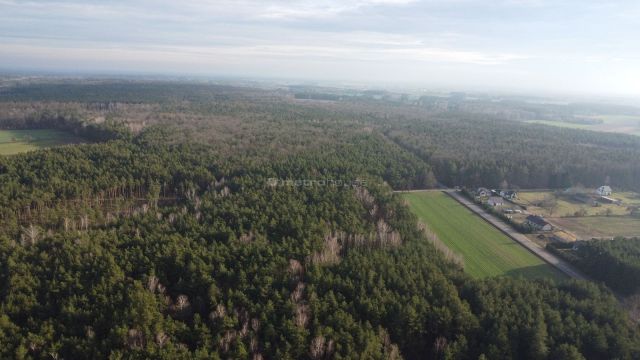 Działka budowlana Zalesie Borowe. Zdjęcie 12