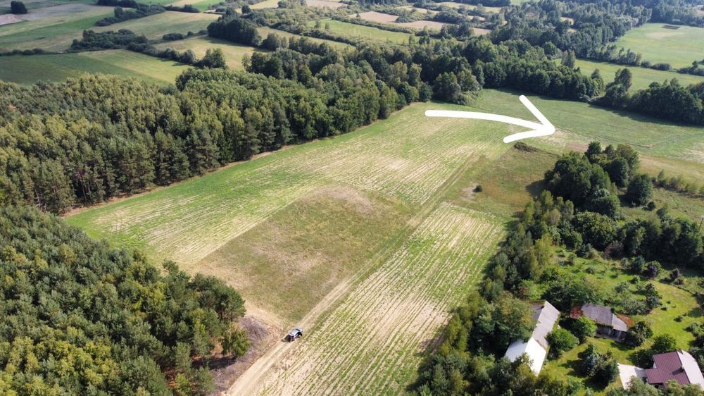 Działka rolno-budowlana Huta. Zdjęcie 7