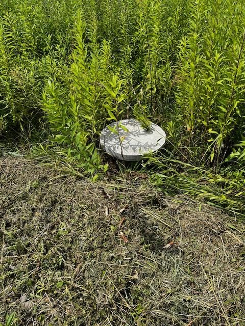 Działka budowlana Wierzawice. Zdjęcie 5