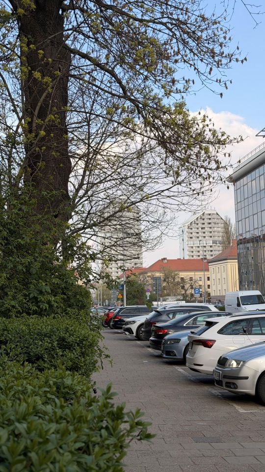Mieszkanie 1-pokojowe Wrocław Śródmieście, ul. Grunwaldzka. Zdjęcie 18