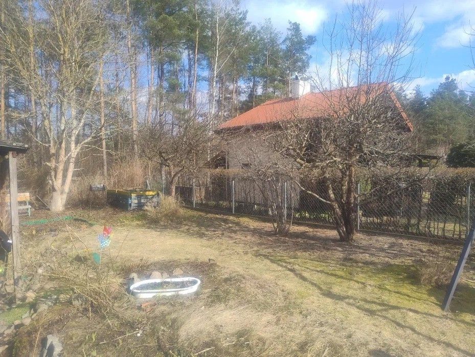 Działka rod Miodówko. Zdjęcie 2