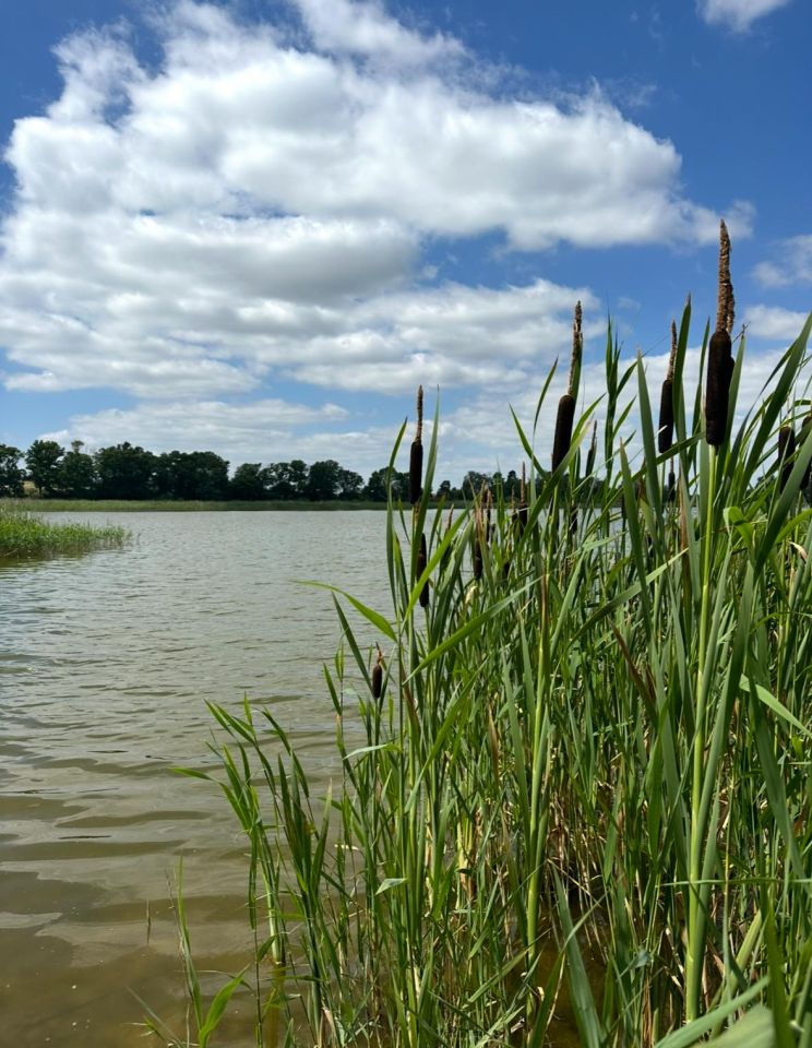 Działka budowlana Szczecin Gumieńce, Penkun