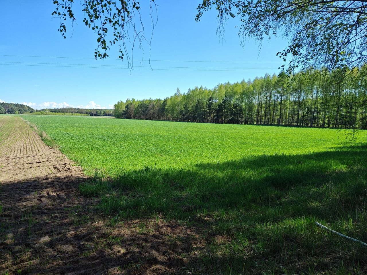 Działka rolno-budowlana Długie Grodzieckie Nad Jeziorem. Zdjęcie 10