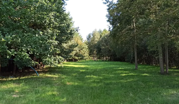 Działka budowlana Chylice, ul. Alpejska