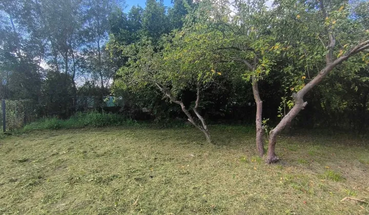 Działka rod Olsztyn