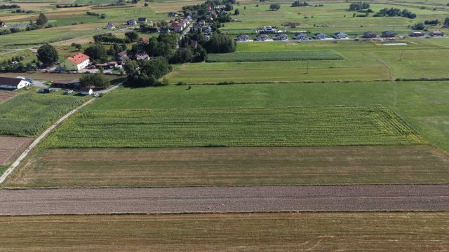 Działka rolno-budowlana Gawłów. Zdjęcie 1