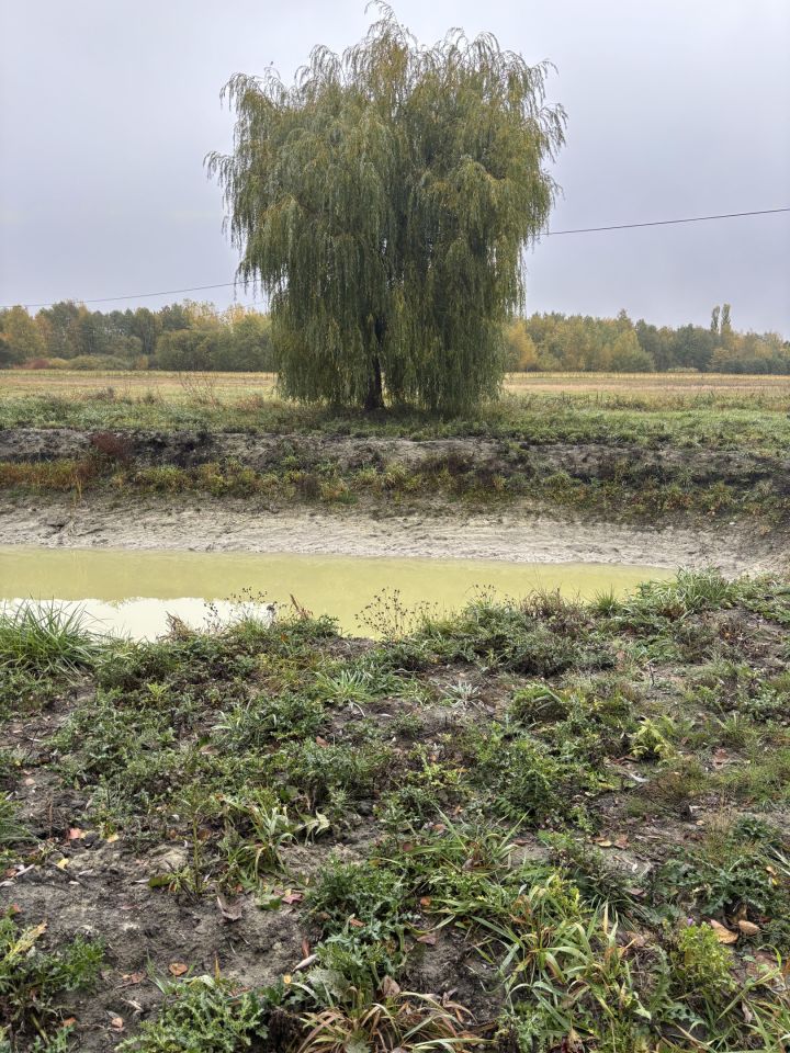 Działka inwestycyjna Ruda-Huta, ul. Niepodległości. Zdjęcie 3