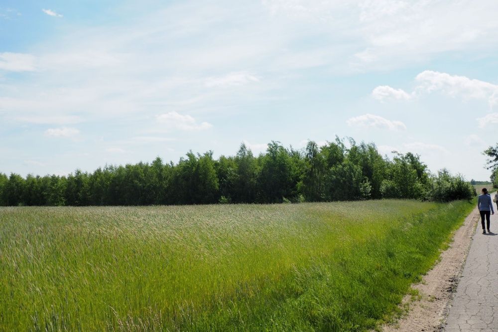 Działka rolna Kamienica