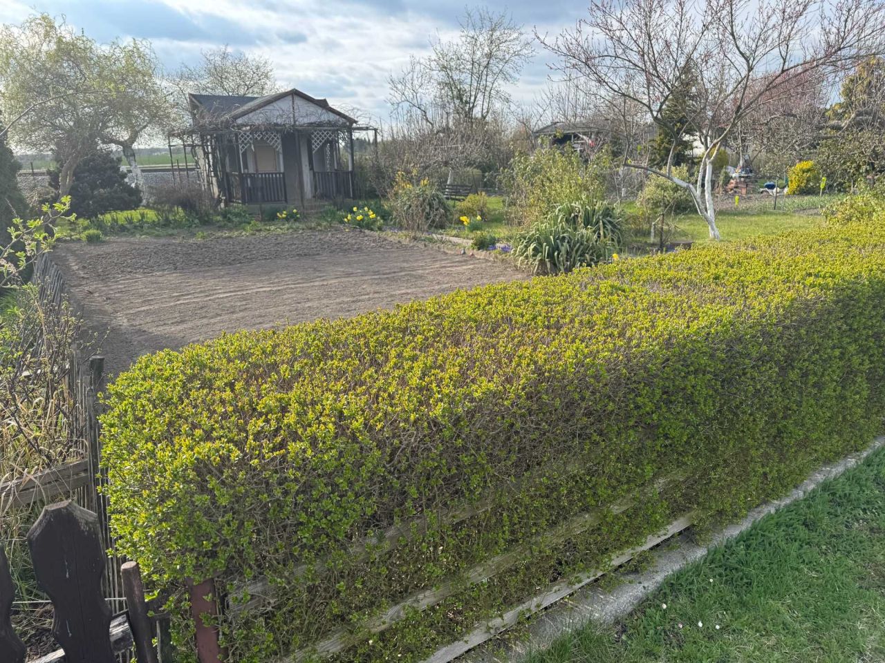 Działka rod Żary. Zdjęcie 7