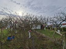 Działka rod Kołobrzeg. Zdjęcie 4