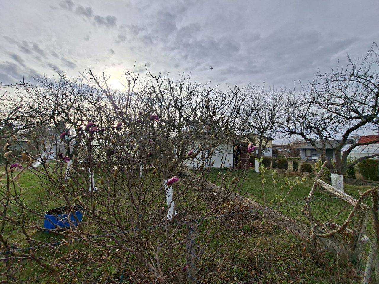 Działka rod Kołobrzeg. Zdjęcie 5