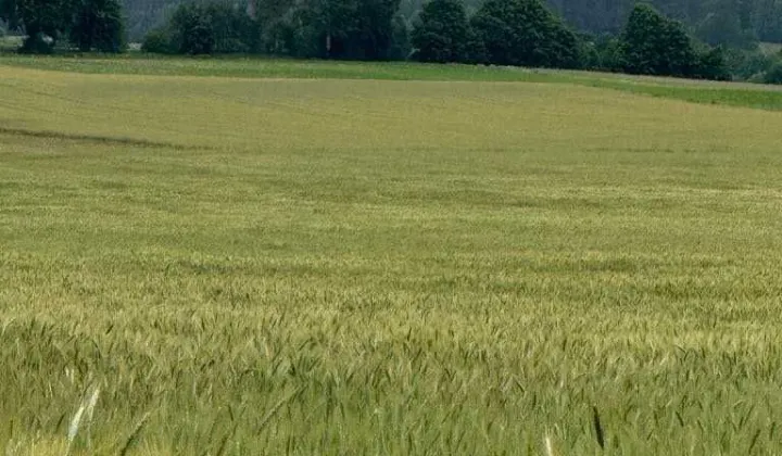 Działka rolna Szkudaj