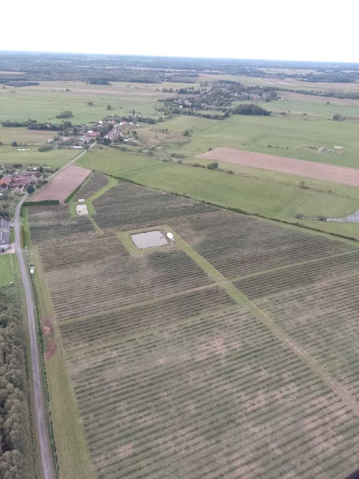 Działka rolna Białe. Zdjęcie 4