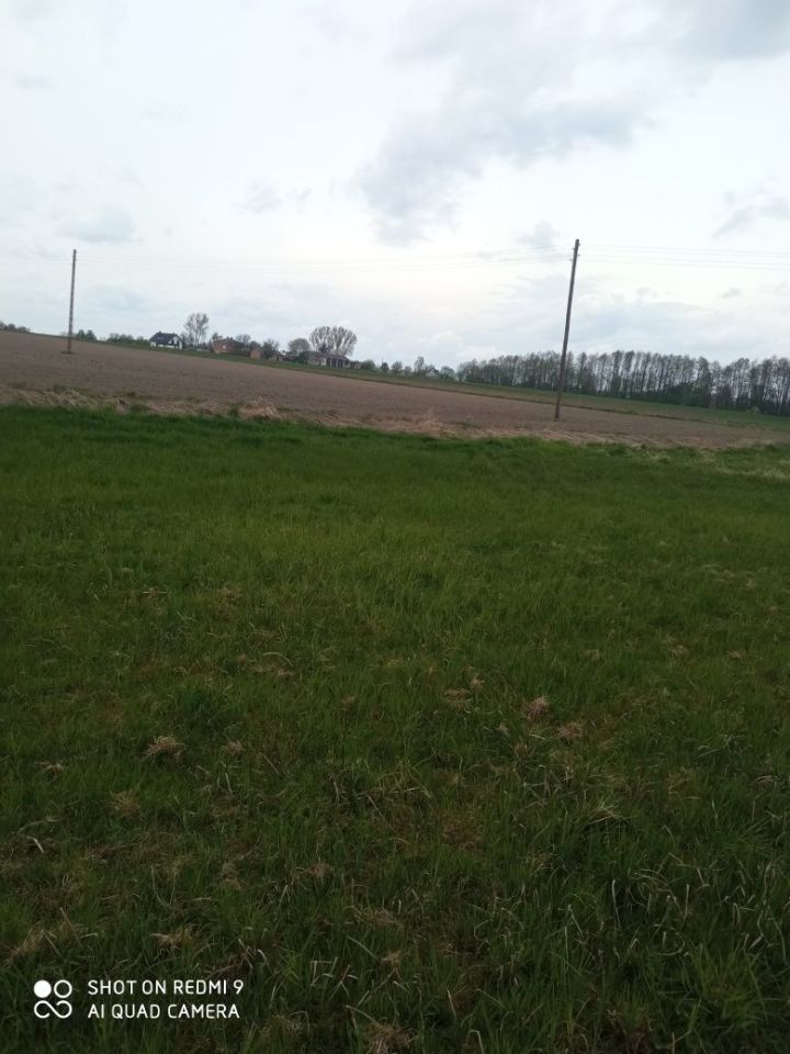 Działka leśna Niedrzwica Duża. Zdjęcie 5