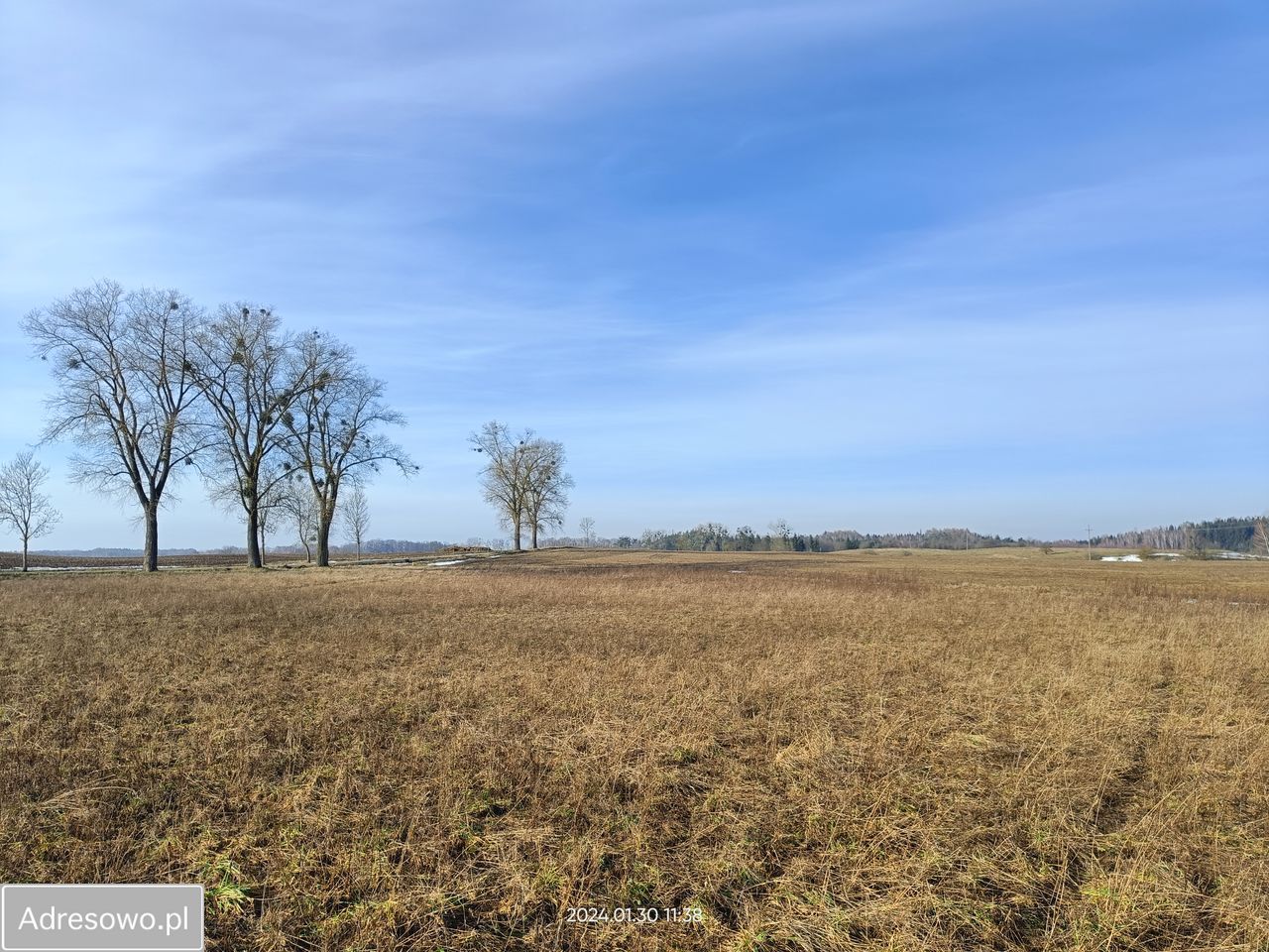 Działka budowlana Kamionki. Zdjęcie 12