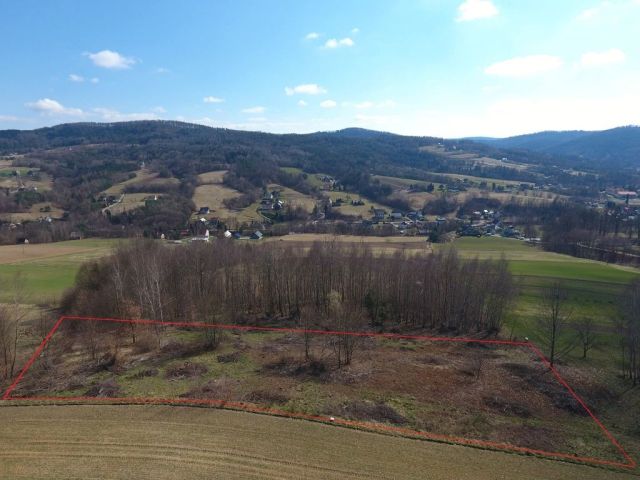 Działka budowlana Olszowa. Zdjęcie 1