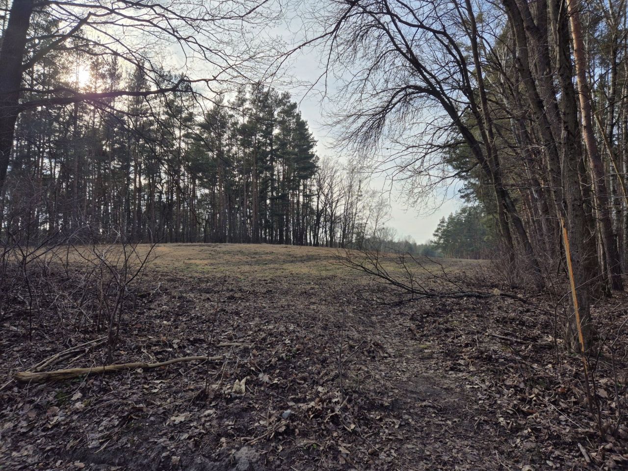 Działka budowlana Wólka, ul. Wiśniowa. Zdjęcie 4