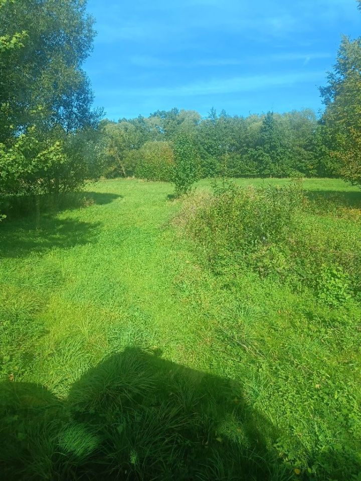 Działka budowlana Nowa Wieś Goszczańska Kuźnia Goszczańska. Zdjęcie 3