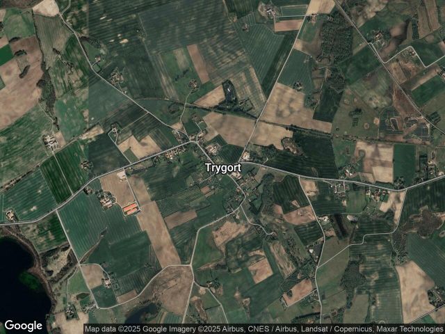 Działka leśna Trygort. Zdjęcie 1