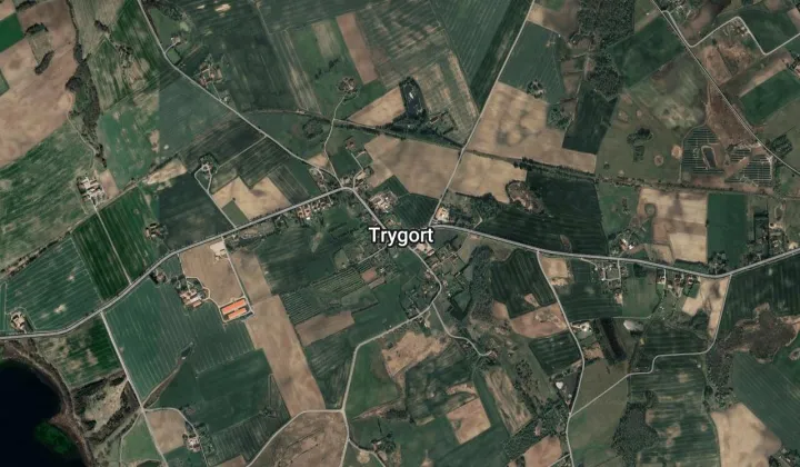 Działka leśna Trygort