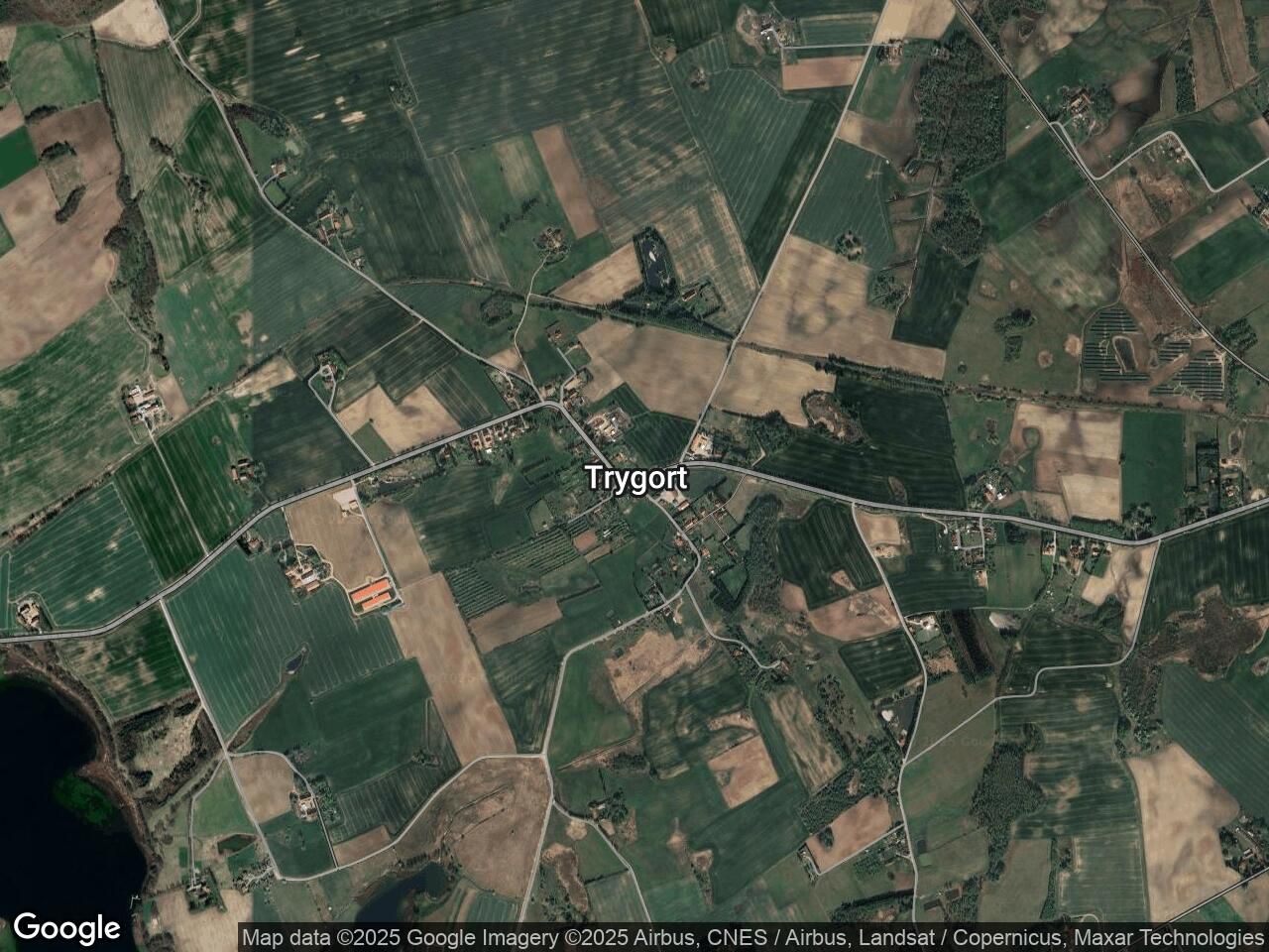 Działka leśna Trygort