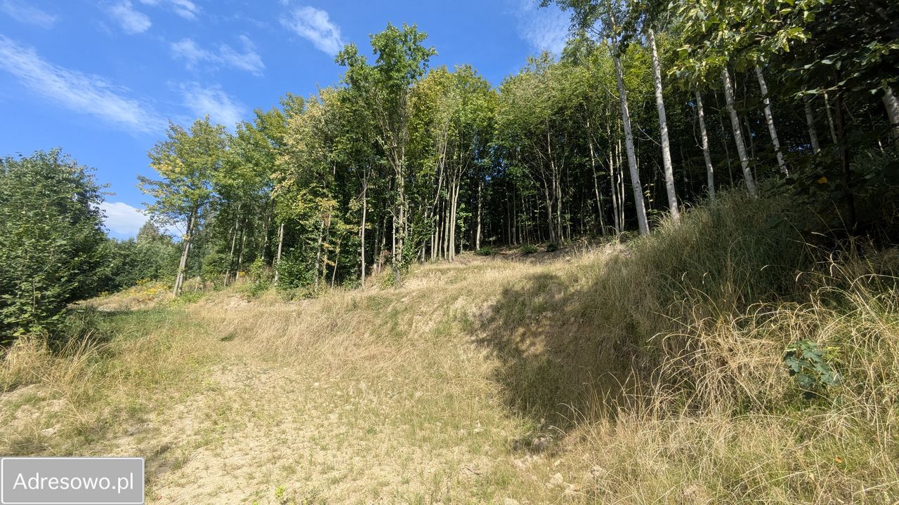 dom wolnostojący, 5 pokoi Dziwiszów, ul. Karkonoska. Zdjęcie 12