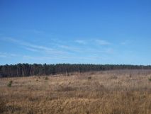 Działka budowlana Janczewo, ul. Długa. Zdjęcie 2