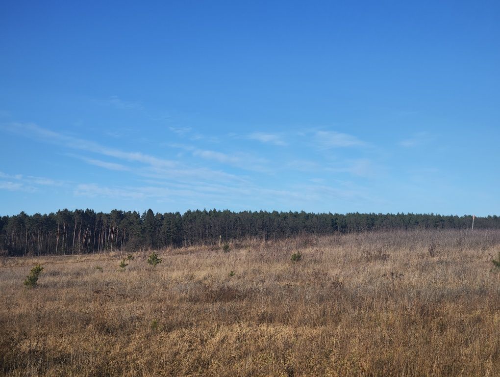 Działka budowlana Janczewo, ul. Długa. Zdjęcie 3
