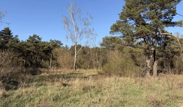 Działka budowlana Warszawa Wesoła, ul. Dobra