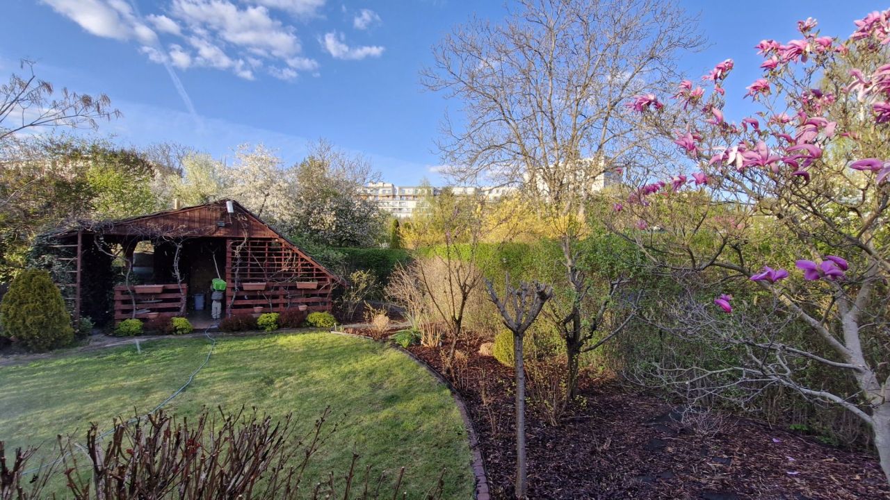 Działka rod Warszawa Saska Kępa, ul. Afrykańska. Zdjęcie 3