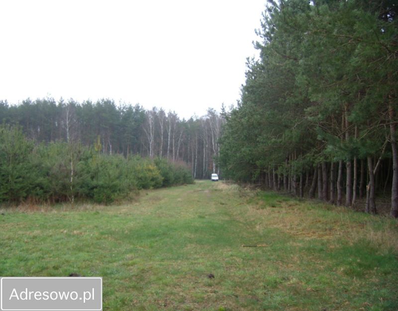 Działka rolna Kruteczek. Zdjęcie 7