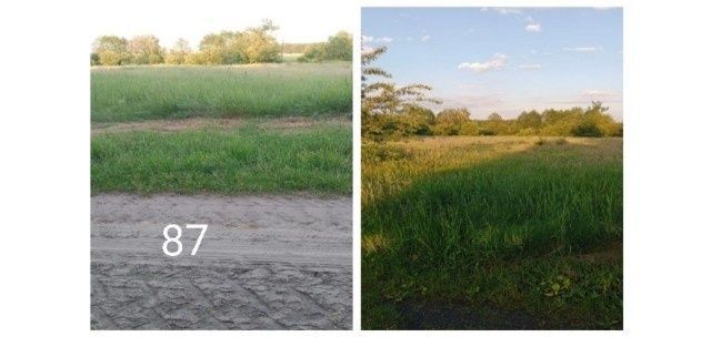 Działka rolna Malinówka. Zdjęcie 3