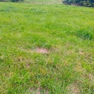 Działka budowlana Szumiłowo. Zdjęcie 3