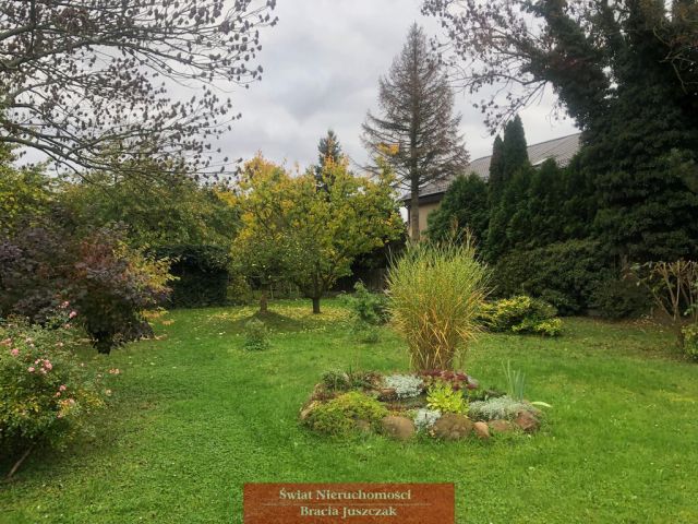 bliźniak Święta Katarzyna. Zdjęcie 7