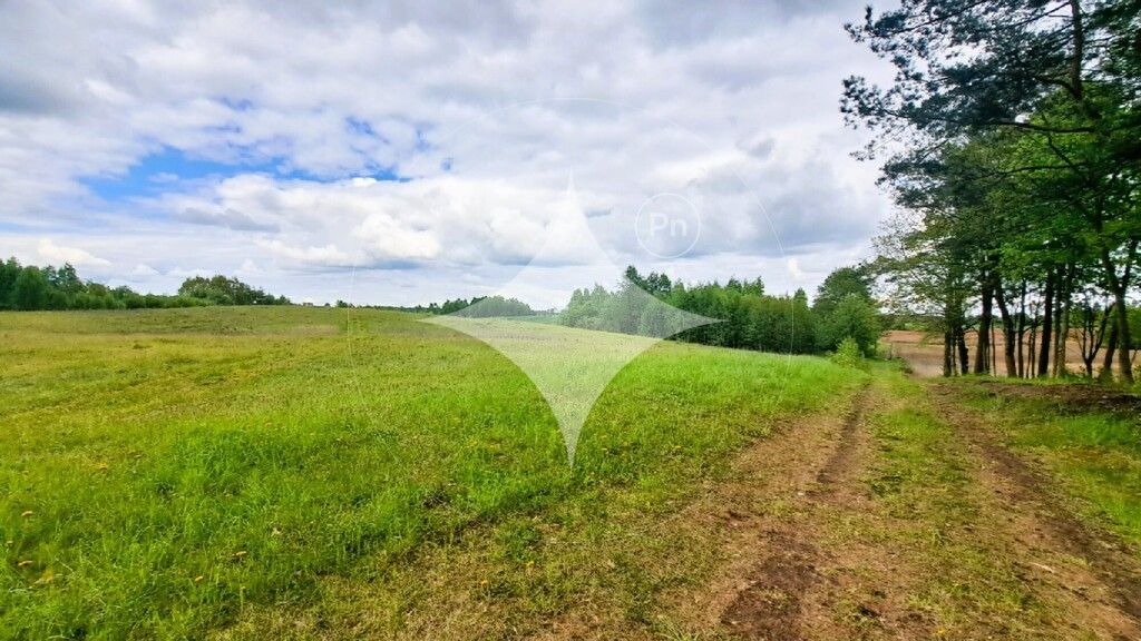Działka budowlana Dąbrówka Wielka. Zdjęcie 2