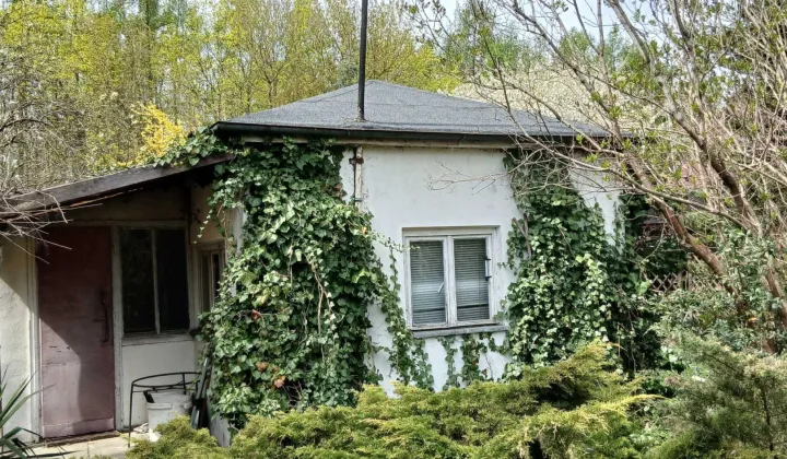 Działka rod Łódź Polesie, ul. Biegunowa