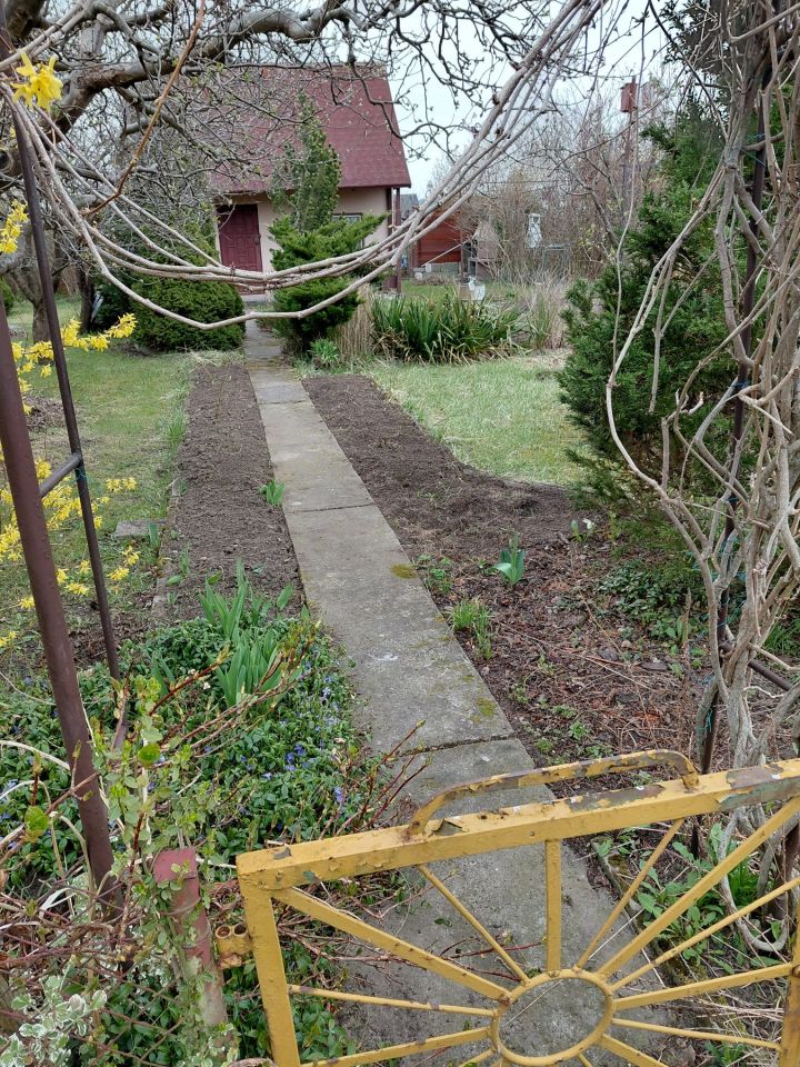 Działka rod Koszalin Północ, ul. Aleja Europejska. Zdjęcie 11