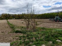 Działka budowlana Świętosławice. Zdjęcie 4