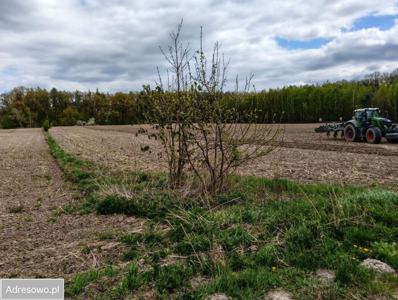 Działka budowlana Świętosławice. Zdjęcie 5