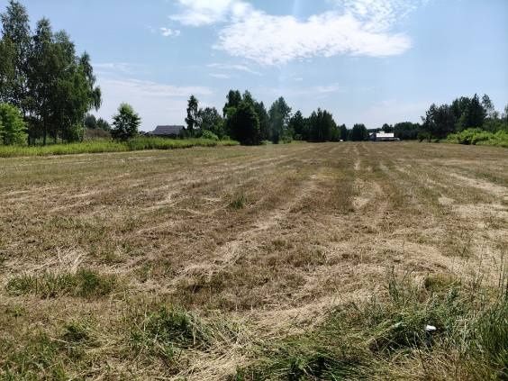 Działka budowlana Zabieżki. Zdjęcie 3