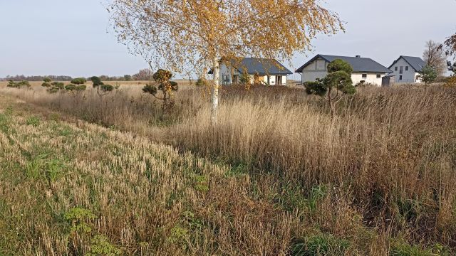 Działka budowlana Żelechów, ul. Ogrodowa. Zdjęcie 1