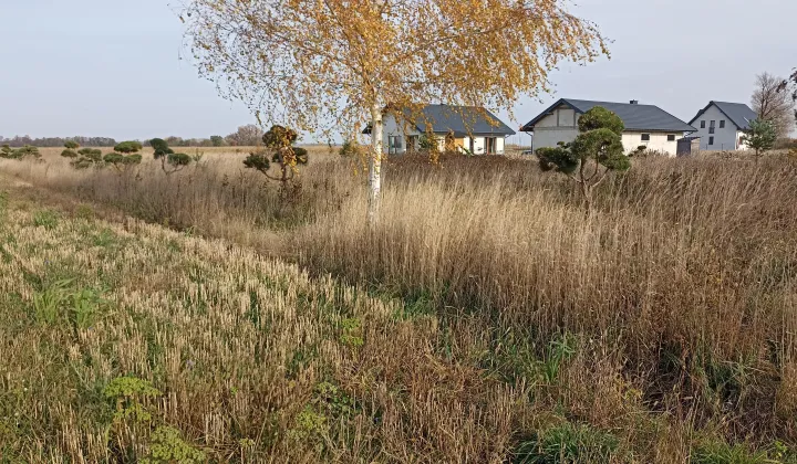 Działka budowlana Żelechów, ul. Ogrodowa