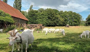 Działka Wilków Wielki