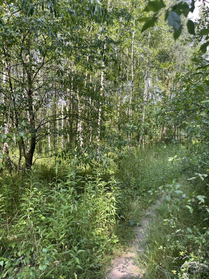 Działka rolno-budowlana Pęgów, ul. Na Polance. Zdjęcie 6