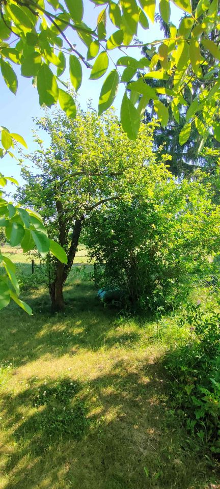 Działka rod Sierpc, ul. Mieszka I. Zdjęcie 16