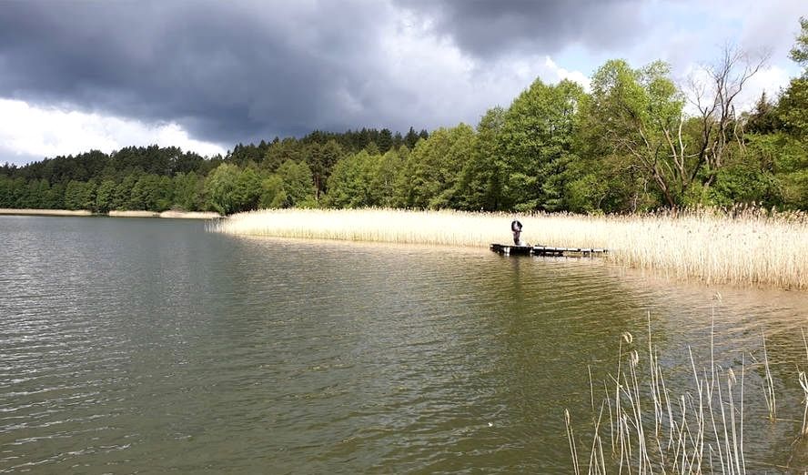 Działka siedliskowa Góra. Zdjęcie 2